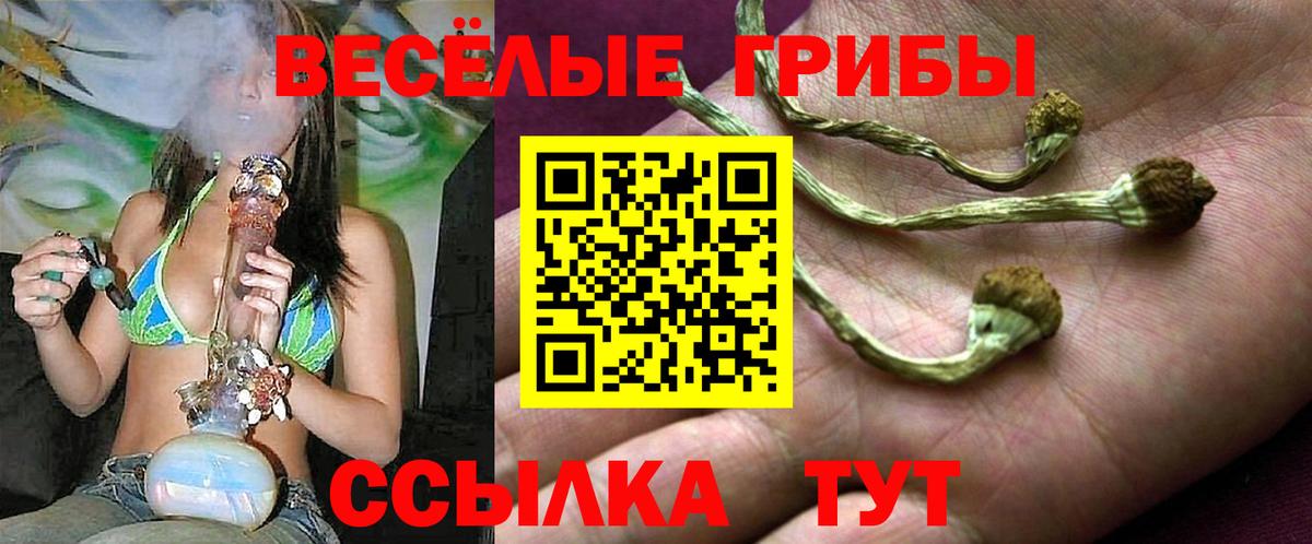 Псилоцибиновые грибы GOLDEN TEACHER Каменск-Уральский