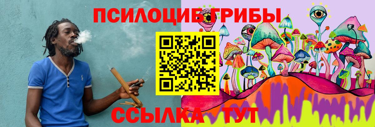 Каменск-Уральский  Галлюциногенные грибы прущие грибы  продажа наркотиков  Вход с VPN  Псилоцибиновые грибы мицелий 